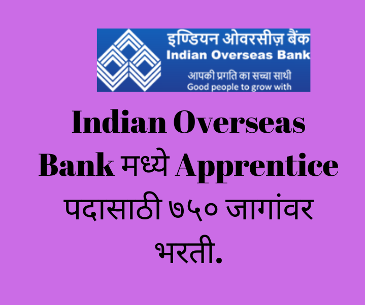 IOB Apprentice 2025